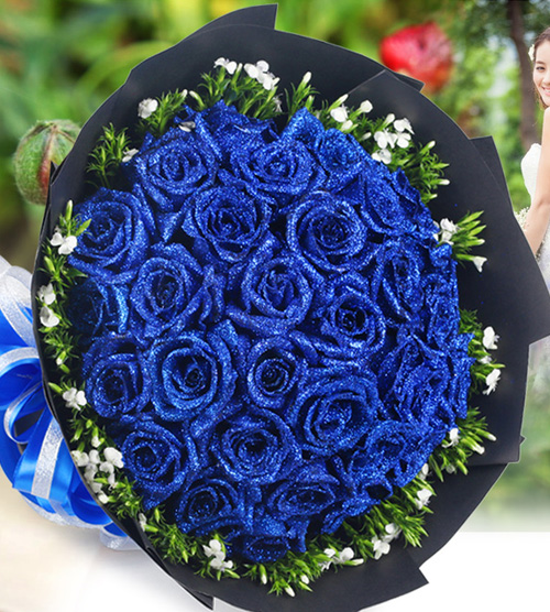 美丽邂逅33枝蓝玫瑰白色相思梅