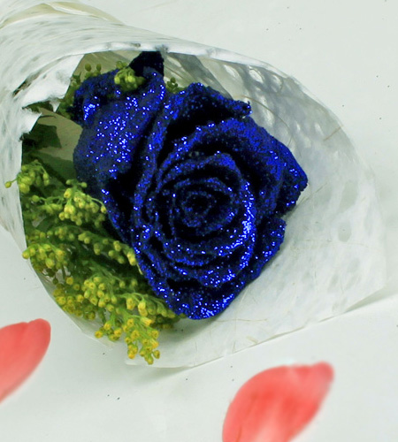 单枝蓝色妖姬黄莺搭配