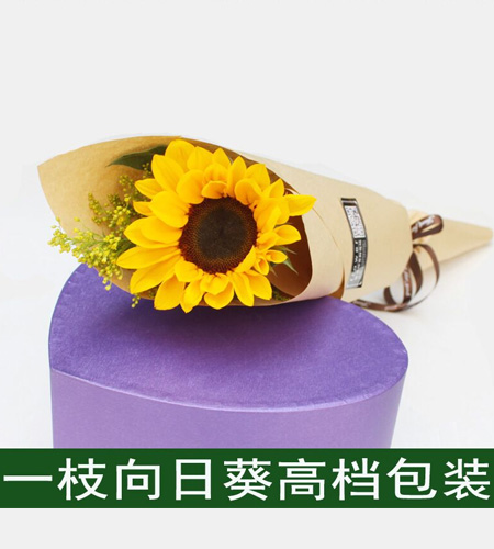 4 材料: 1单向日葵,黄莺草 包装: 1单向日葵,黄莺草独立包装 附送
