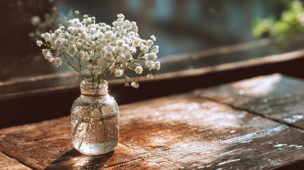 A small bouquet of fresh white gypsophila in a simple glass vase.